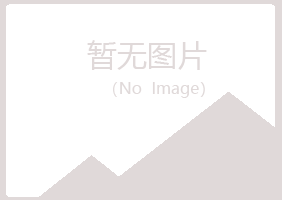 银川兴庆夏日化学有限公司